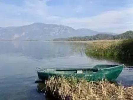 Traditional Dalyan Boat Trip