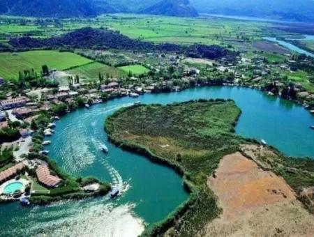 Traditional Dalyan Boat Trip