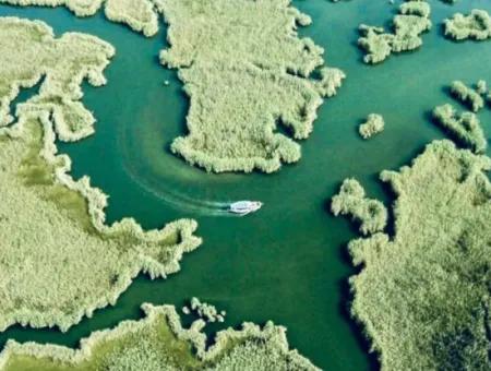 Traditional Dalyan Boat Trip