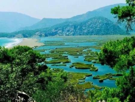 Traditional Dalyan Boat Trip