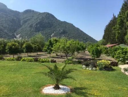 Dalyan Spectrum Hotel. Dalyan Hotel Price. Dalyan Hotel Contact