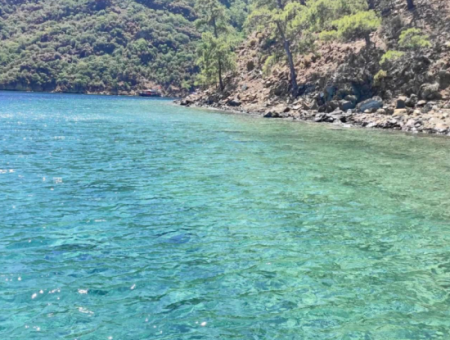 Traditional Dalyan Boat Trip