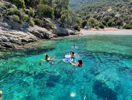 Unique Private Boat Trip