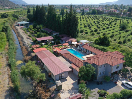 Dalyan Spectrum Hotel. Dalyan Hotel Price. Dalyan Hotel Contact