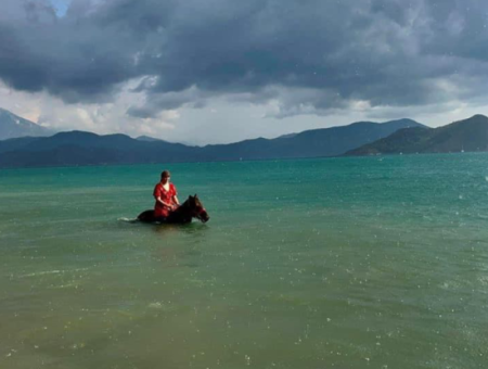 Galloping Seahorses