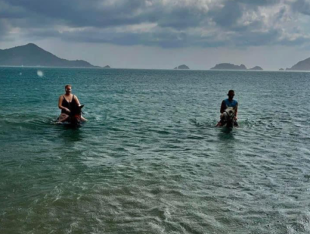 Galloping Seahorses