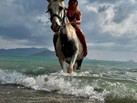 Galloping Seahorses