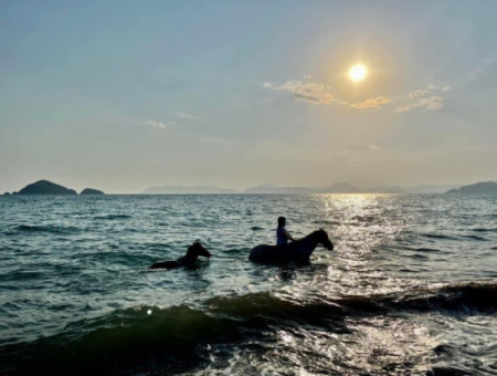 Galloping Seahorses