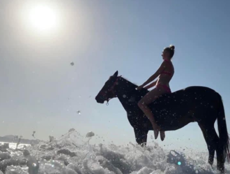 Galloping Seahorses