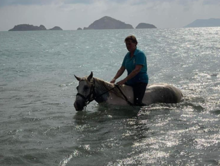 Galloping Seahorses