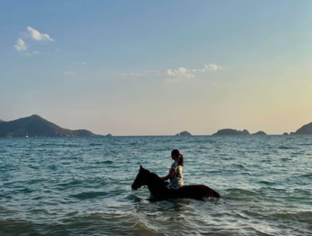 Galloping Seahorses