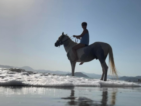 Galloping Seahorses