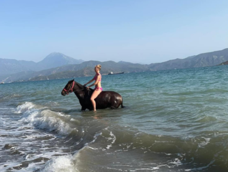 Galloping Seahorses