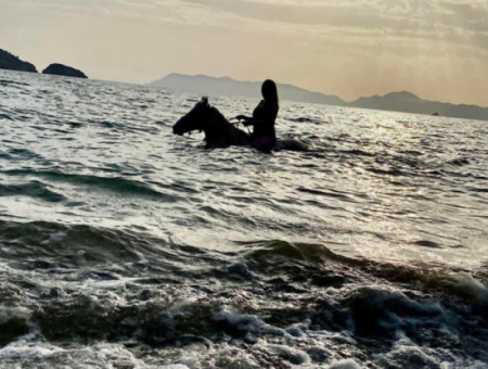 Galloping Seahorses