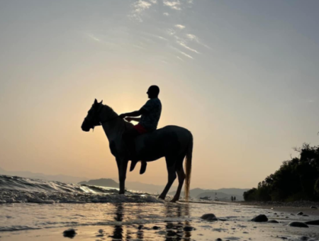 Galloping Seahorses