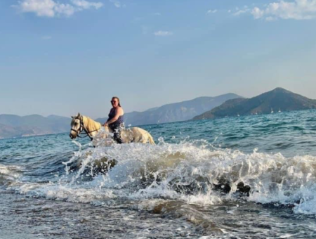 Galloping Seahorses