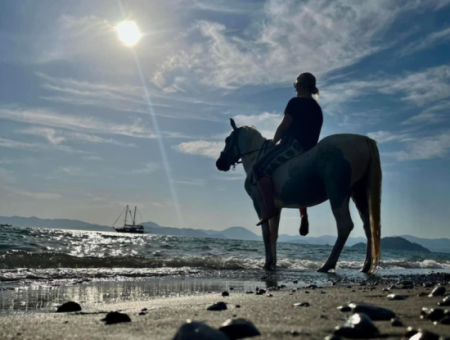 Galloping Seahorses