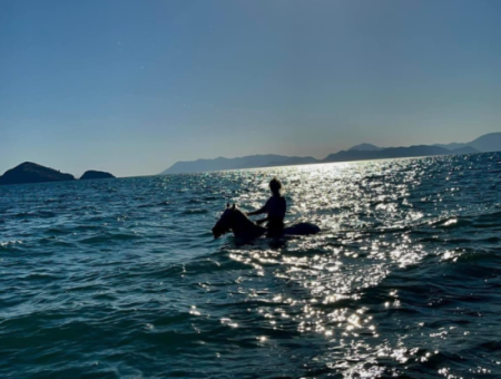 Galloping Seahorses