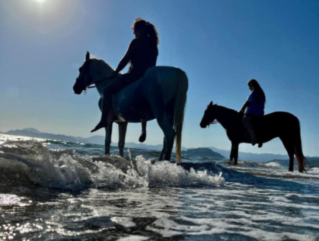 Galloping Seahorses