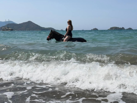 Galloping Seahorses