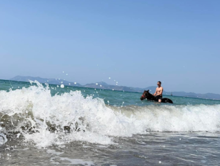 Galloping Seahorses