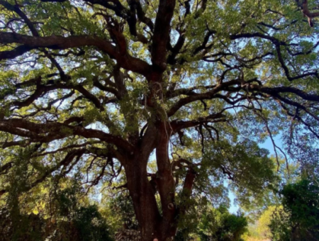 Dreamy Trekking In Lycian Way