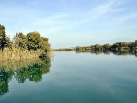 Geleneksel Dalyan Tekne Turu