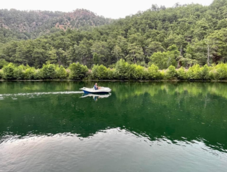 Akkaya Kuşlar Ve Vahşi Yaşam İle Gün Batımı