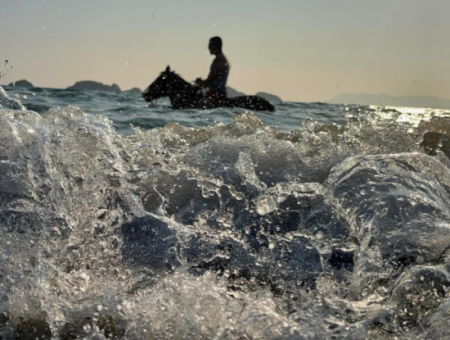 Dörtnala Giden Deniz Atları