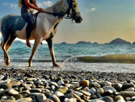 Dörtnala Giden Deniz Atları