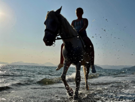 Dörtnala Giden Deniz Atları