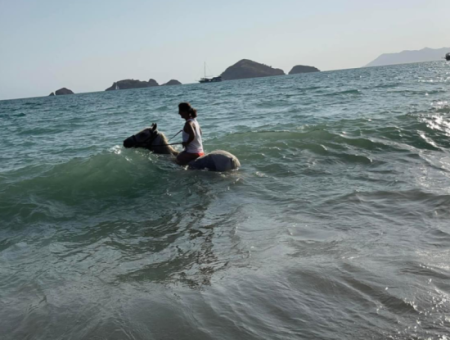 Dörtnala Giden Deniz Atları