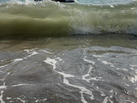 Dörtnala Giden Deniz Atları