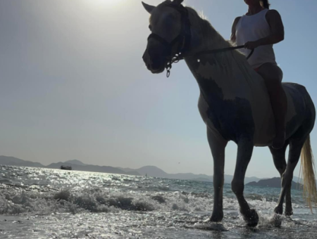 Dörtnala Giden Deniz Atları