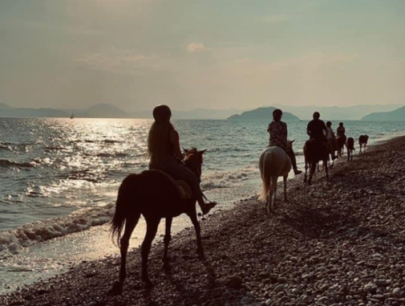 Dörtnala Giden Deniz Atları