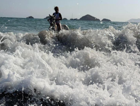 Dörtnala Giden Deniz Atları