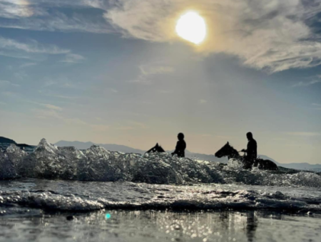 Dörtnala Giden Deniz Atları