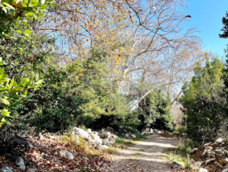 Likya Yolu'nda Rüya Gibi Trekking